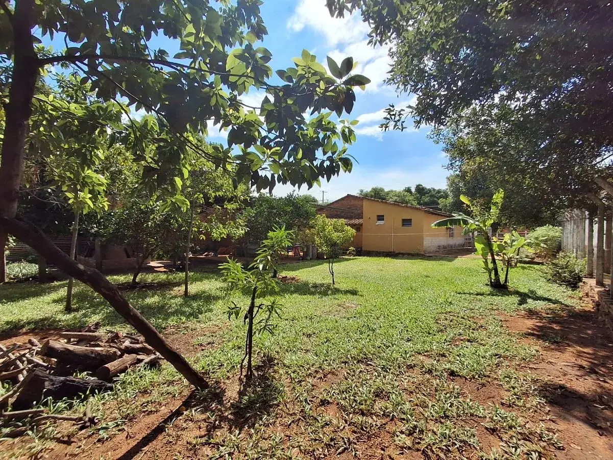 Patio amplio con árboles frutales y césped en casa con terreno en Atyrá