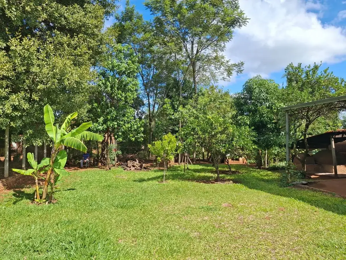 Jardín verde con bananos y árboles nativos en terreno en venta en Atyrá