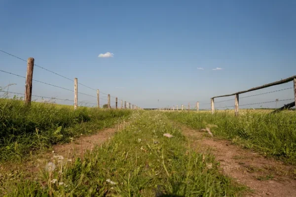 terreno-verde-en-venta-atyra