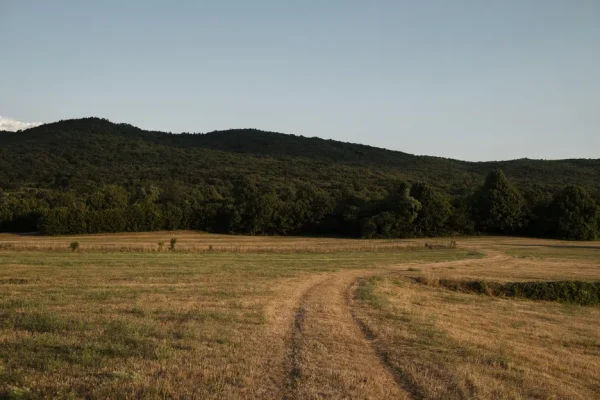 venta-de-terrenos-en-atyra